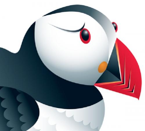 Puffin Browser